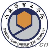 山东华宇工学院